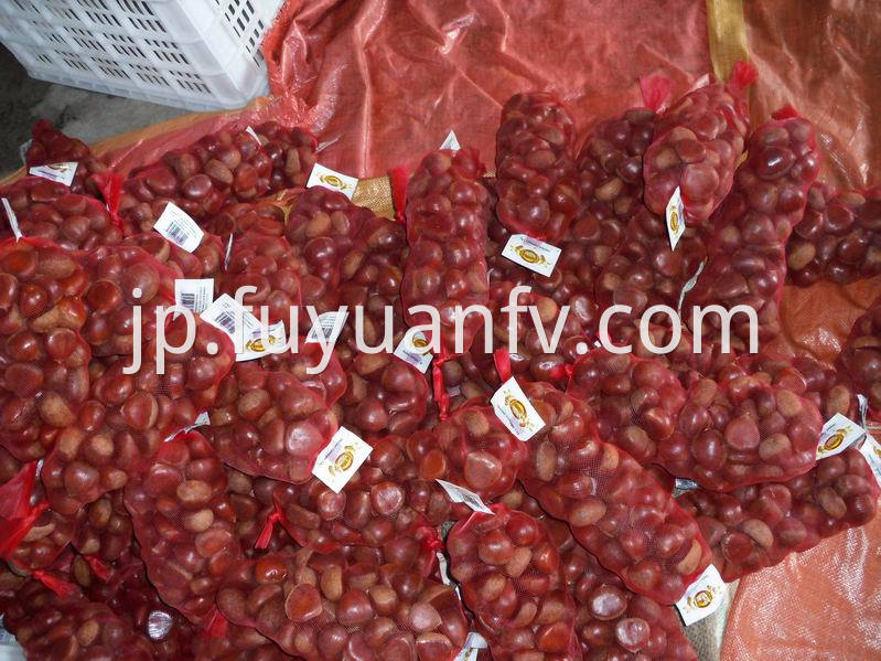 1kg mesh bag chestnut